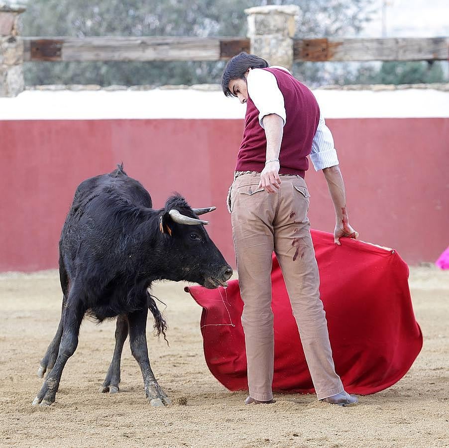 Así se prepara Miguel Ángel Perera para su reaparición en Olivenza