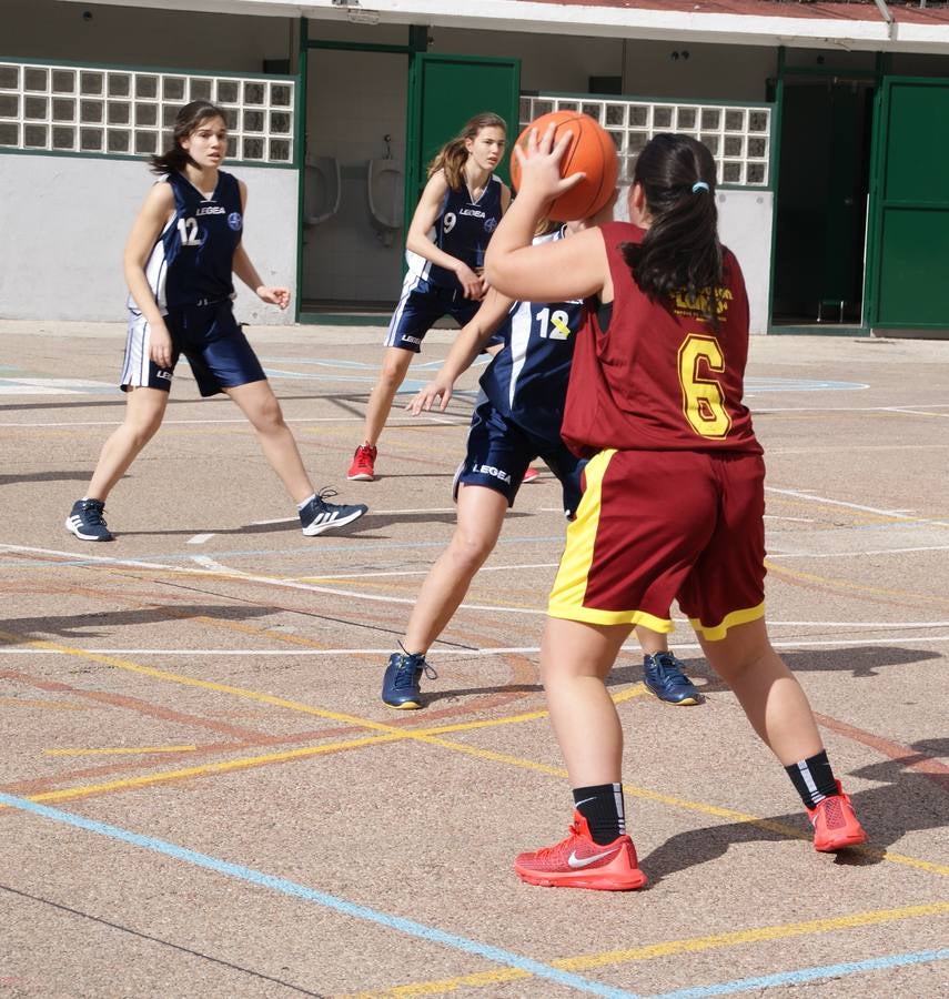 Baloncesto: Nuestra Señora de las Maravillas vs Virgen de Atocha