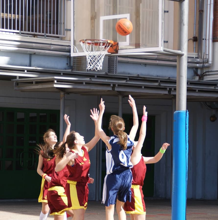 Baloncesto: Nuestra Señora de las Maravillas vs Virgen de Atocha