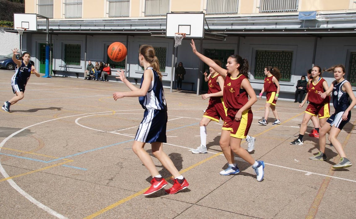Baloncesto: Nuestra Señora de las Maravillas vs Virgen de Atocha