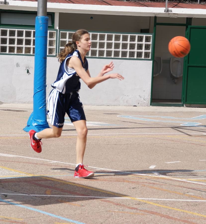 Baloncesto: Nuestra Señora de las Maravillas vs Virgen de Atocha