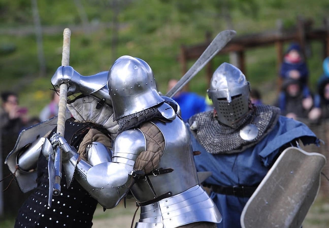 14. Entrenamiento del equipo madrileño de lucha medieval «Ursus Custodes», ayer en el Castillo de Manzanares el Real