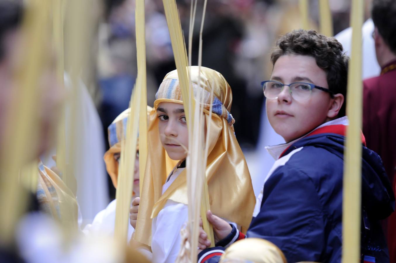 Domingo de Palmas y Ramos