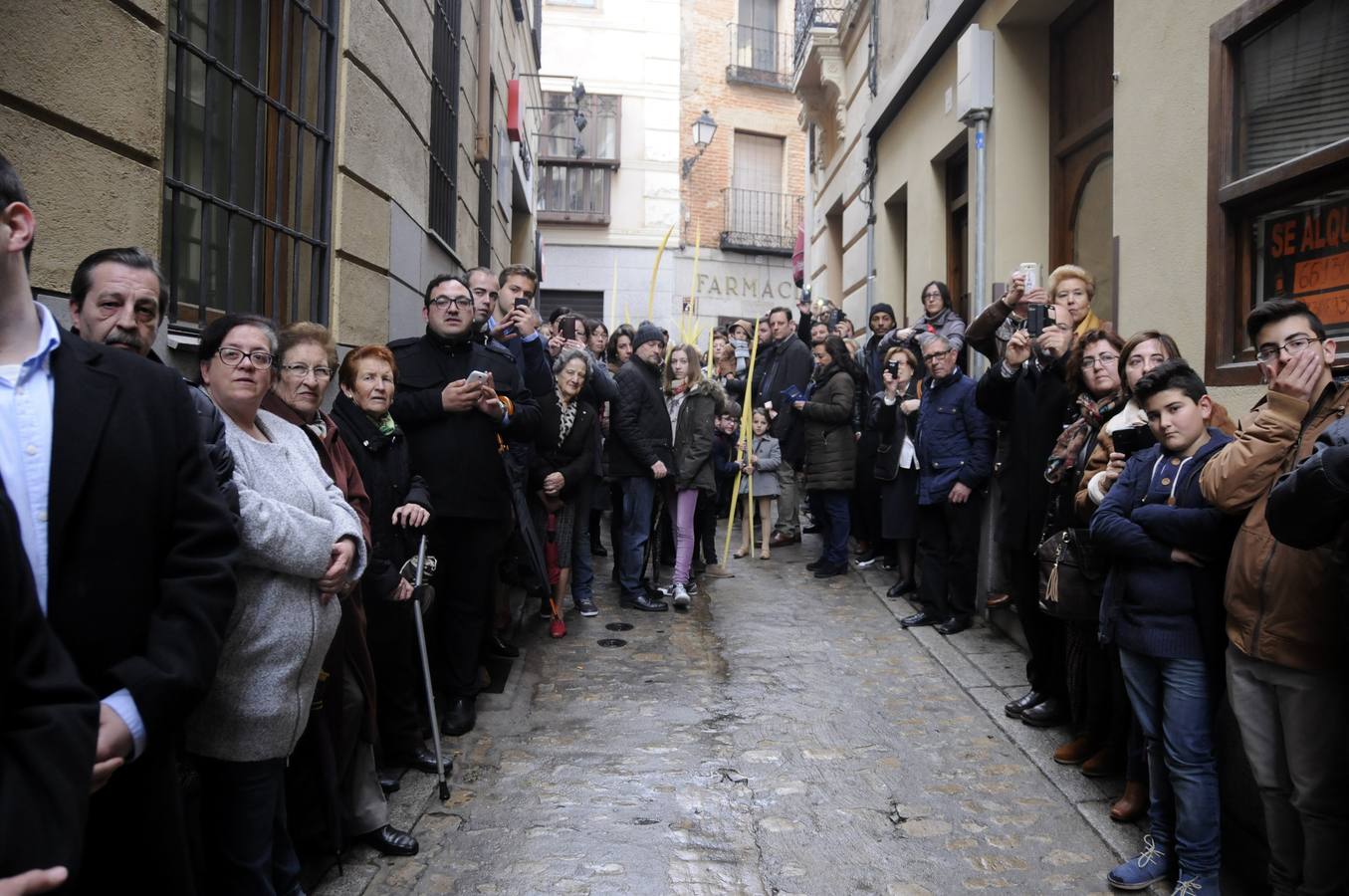 Domingo de Palmas y Ramos