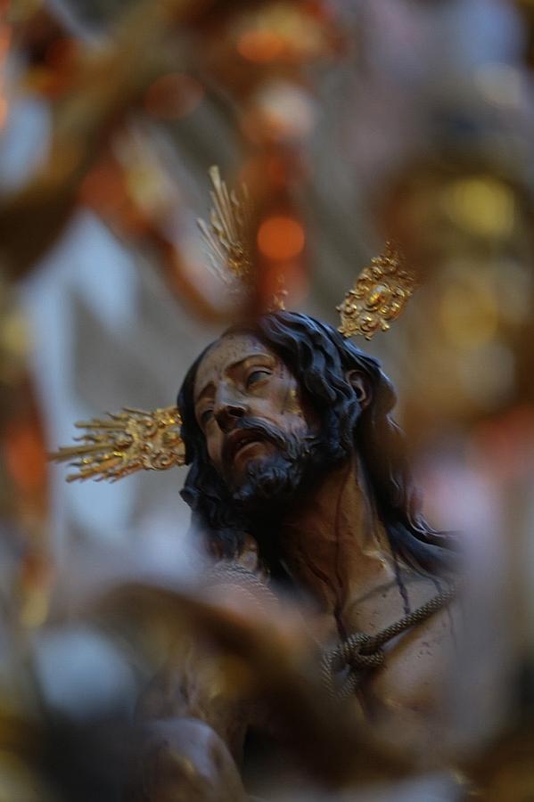 Fotos: Humildad y Paciencia en el Domingo de Ramos. Semana Santa en Cádiz 2016