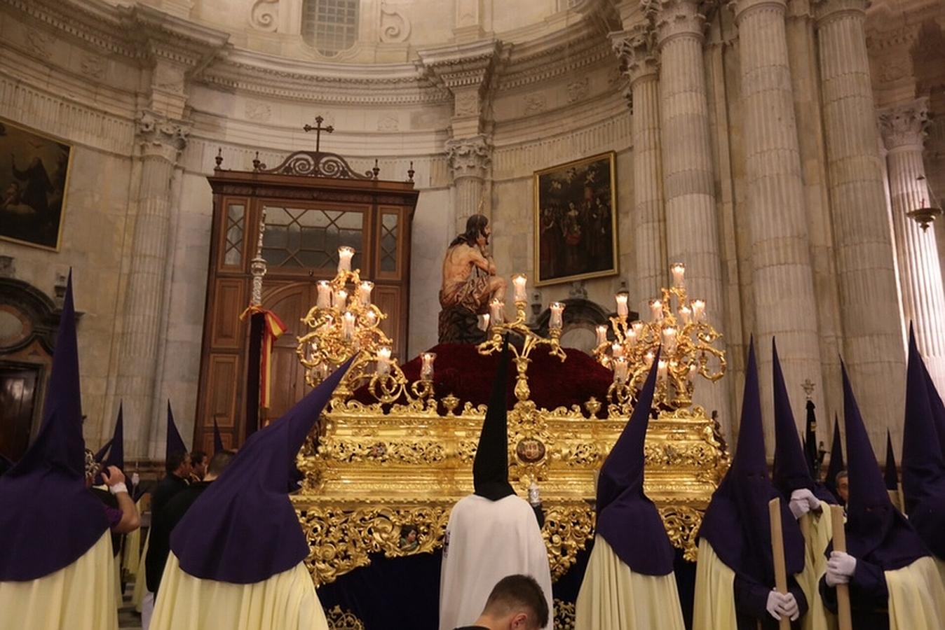 Fotos: Humildad y Paciencia en el Domingo de Ramos. Semana Santa en Cádiz 2016