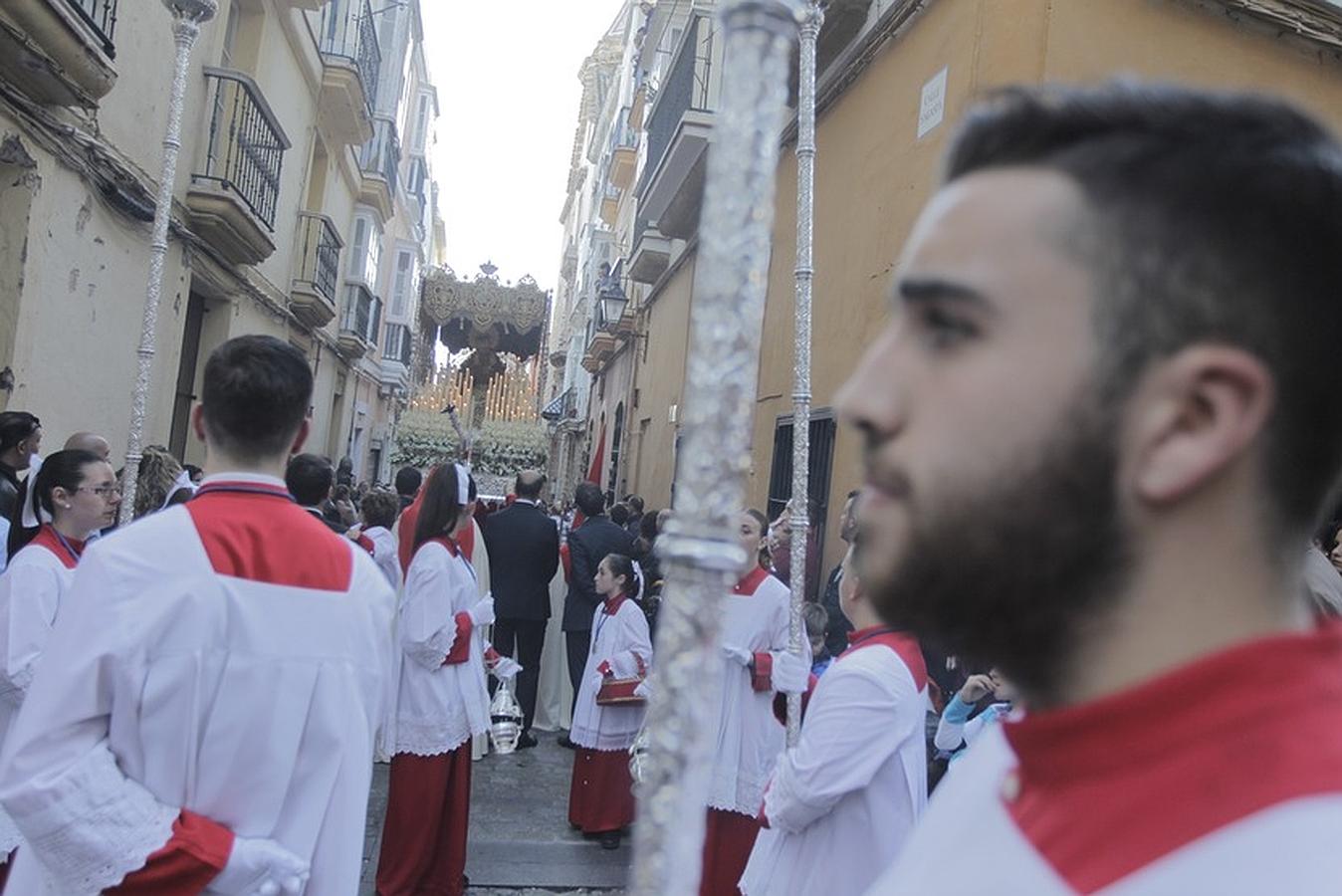 Fotos: Domingo de Ramos en Cádiz