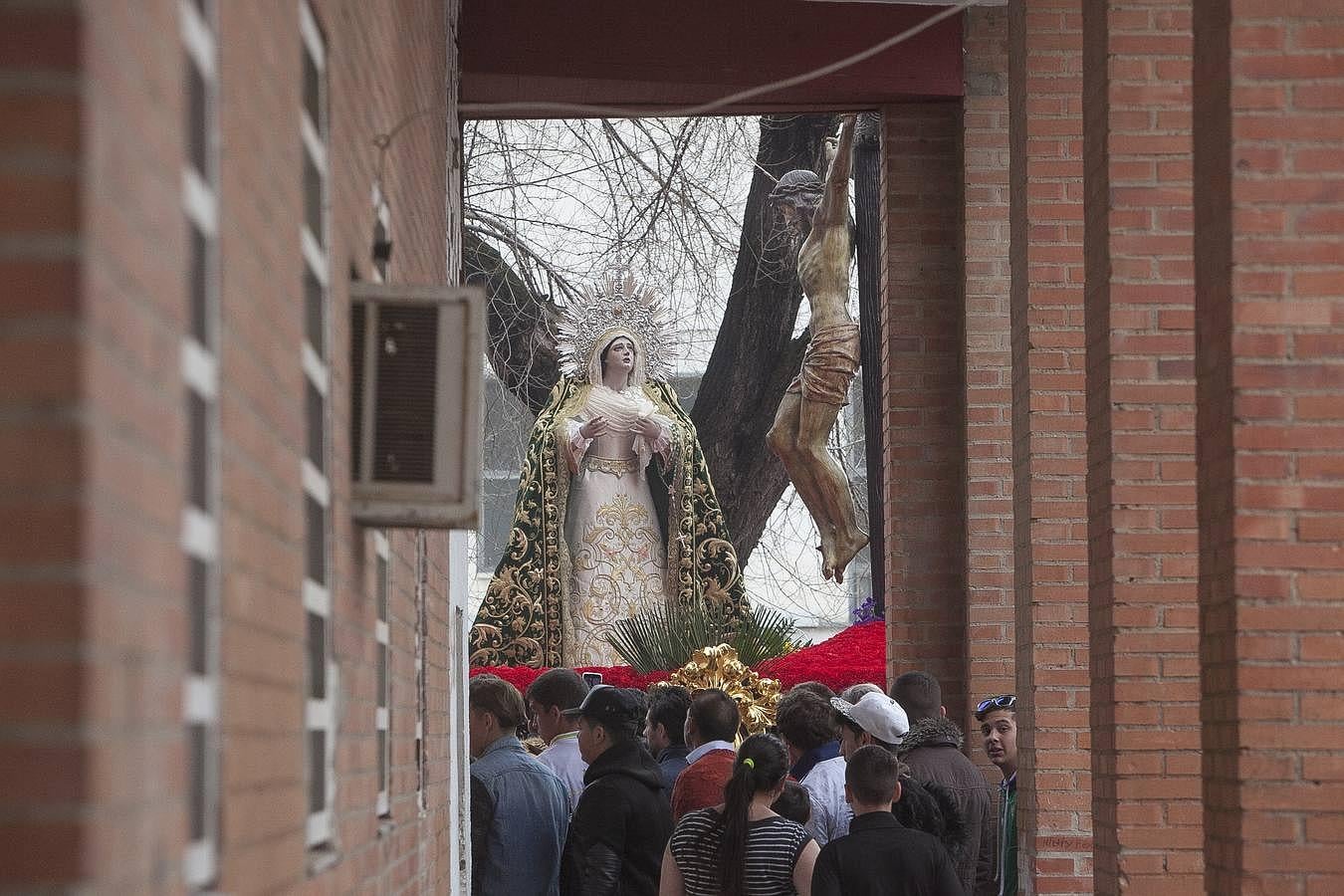 Las mejores imágenes de la Piedad