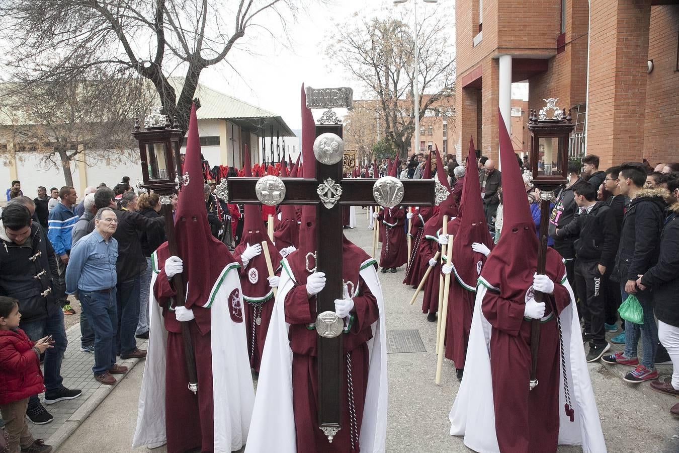 Las mejores imágenes de la Piedad