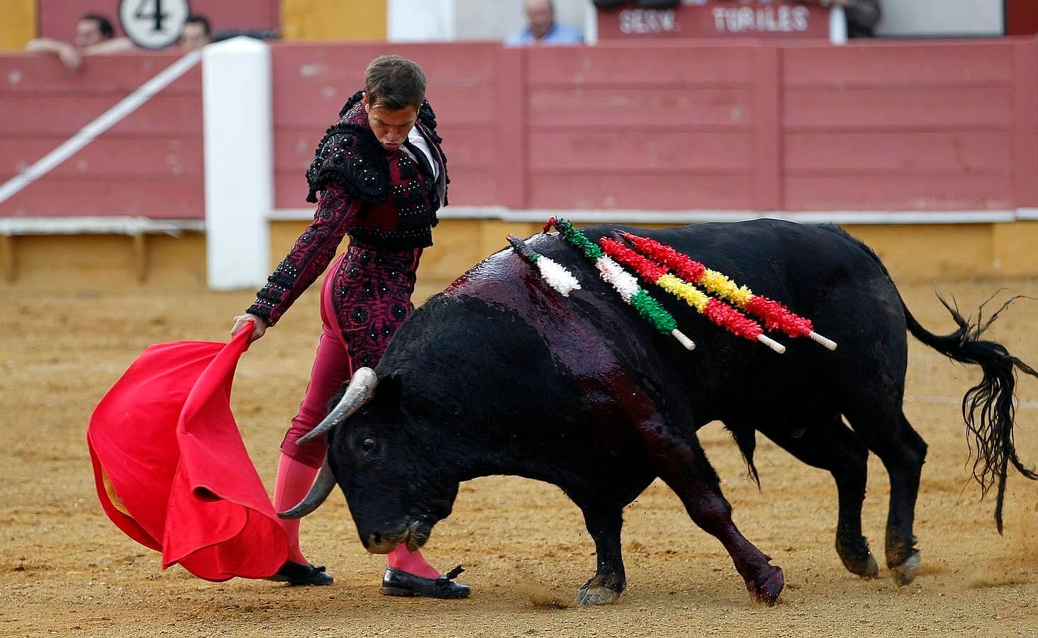 El festejo del Sábado Gloria de Cabra, en imágenes