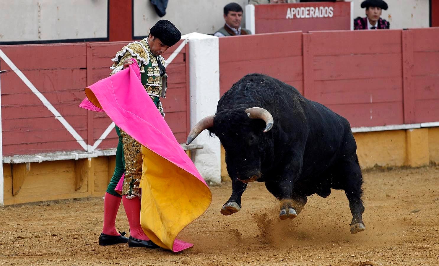 El festejo del Sábado Gloria de Cabra, en imágenes