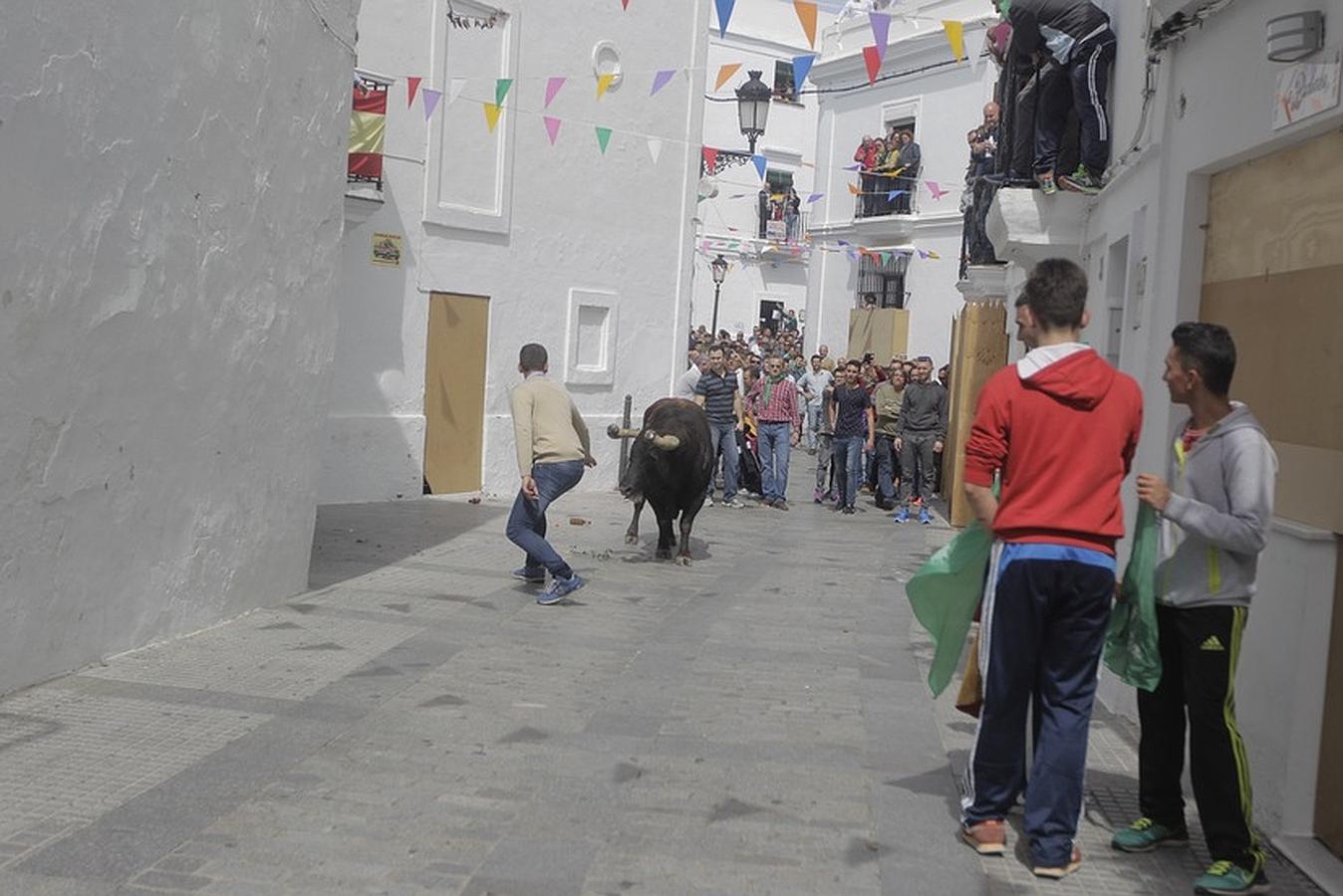 La lluvia desluce el tradicional toro &#039;embolao&#039; de Vejer