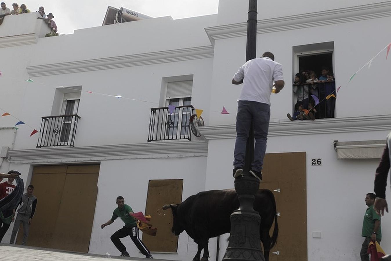 La lluvia desluce el tradicional toro &#039;embolao&#039; de Vejer