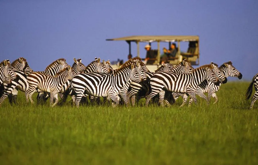 Botsuana, naturaleza en estado puro. Botswana es especial para los aficionados a la hípica, pues permite hacer safaris a caballo por zonas tan exclusivas y de una riqueza natural únicas. Fotos: The African Experiences