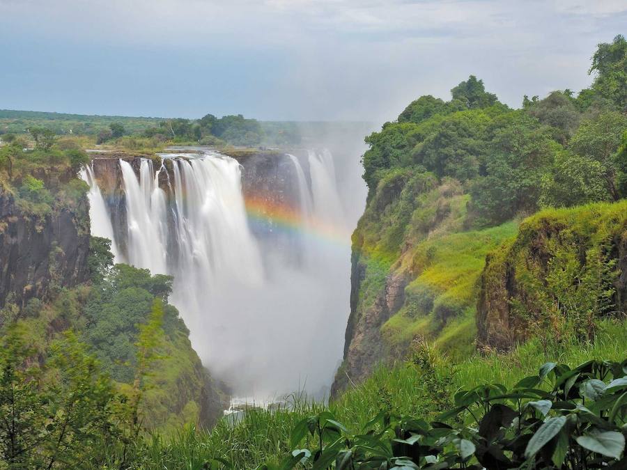 Las cataratas Victoria en Zimbabue. Zimbabwe cuenta con un total de ocho parques nacionales y otro atractivo: las cataratas Victoria. Fotos: The African Experiences