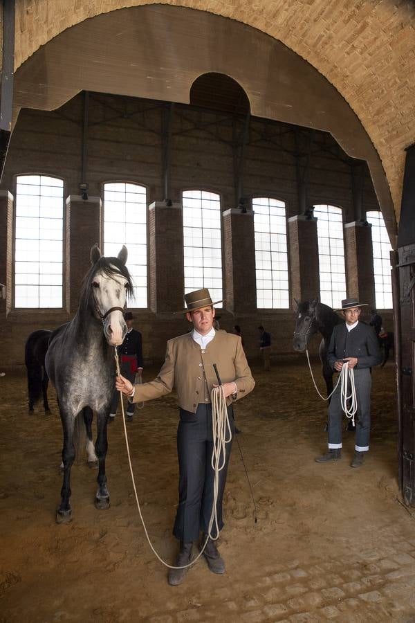 El caballo, protagonista del fin de semana en Córdoba