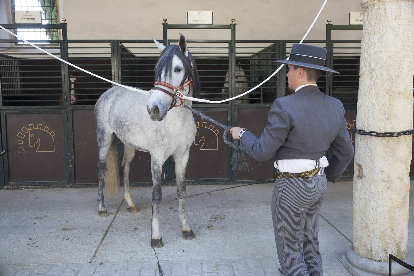 El caballo, protagonista del fin de semana en Córdoba