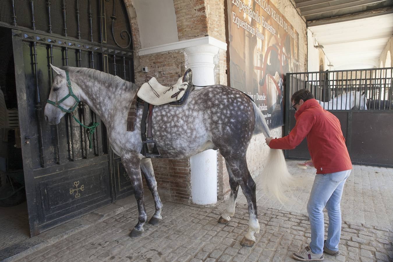 El caballo, protagonista del fin de semana en Córdoba