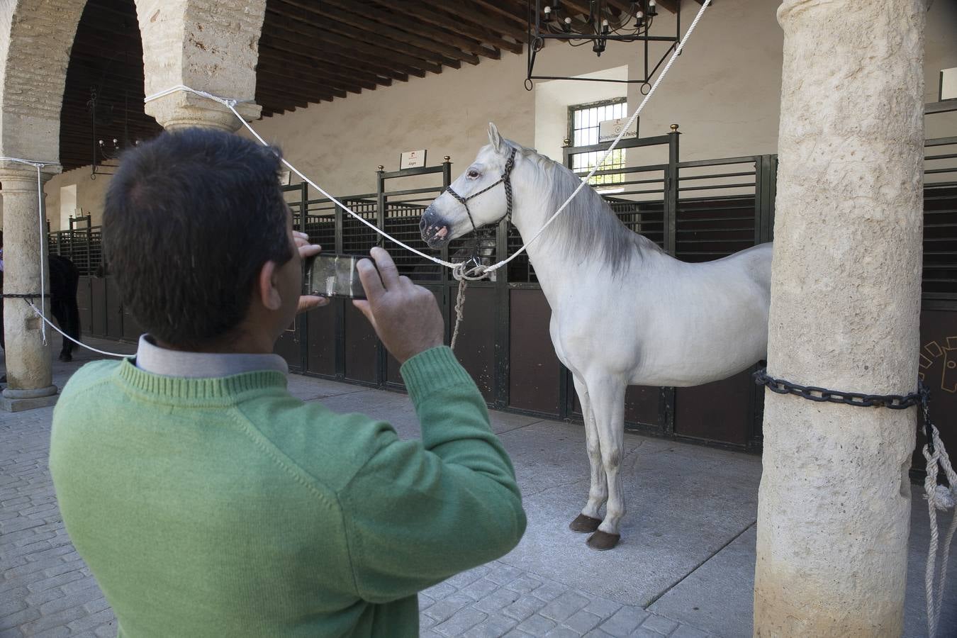 El caballo, protagonista del fin de semana en Córdoba