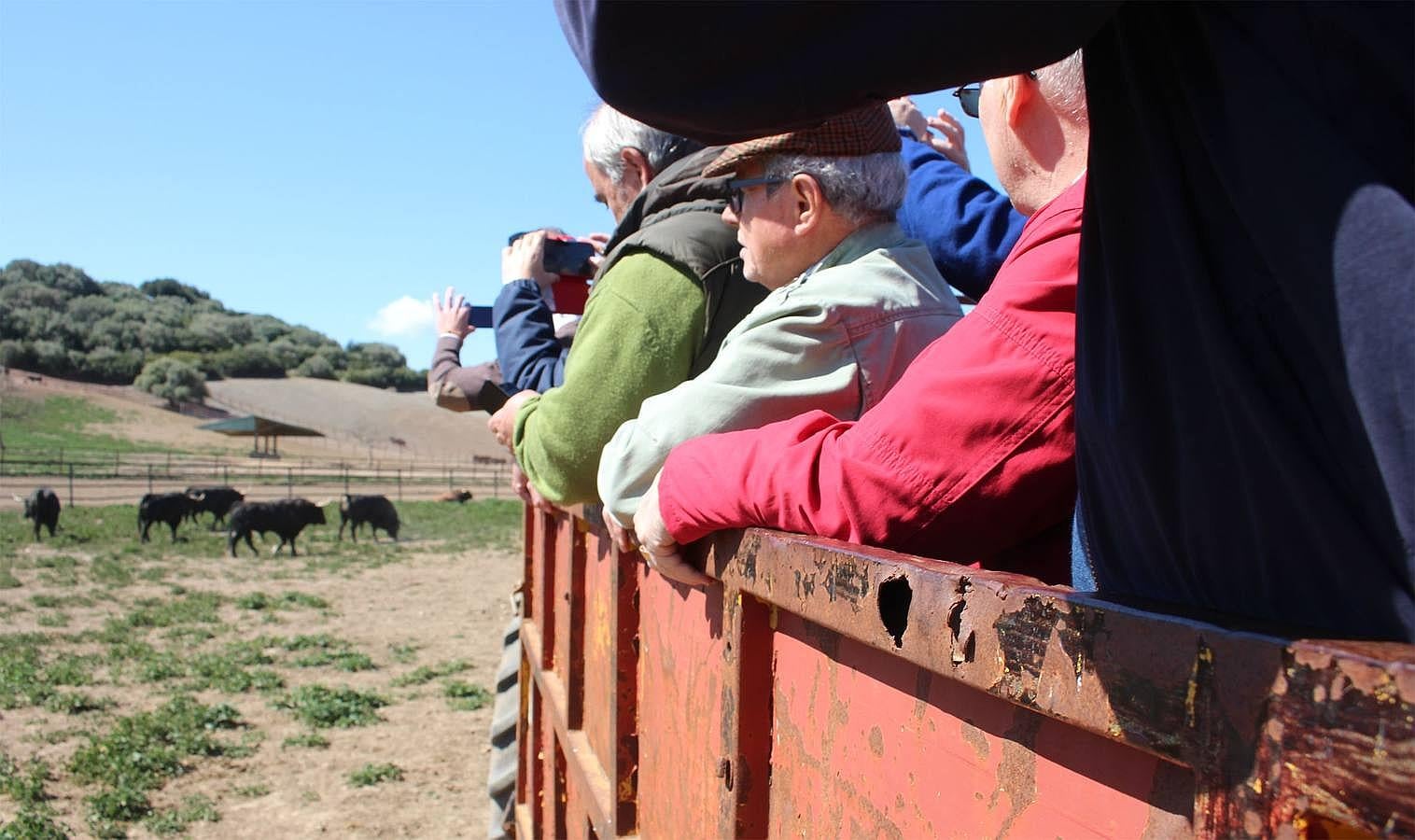 Visita a la ganadería de Fuente Ymbro, foto a foto