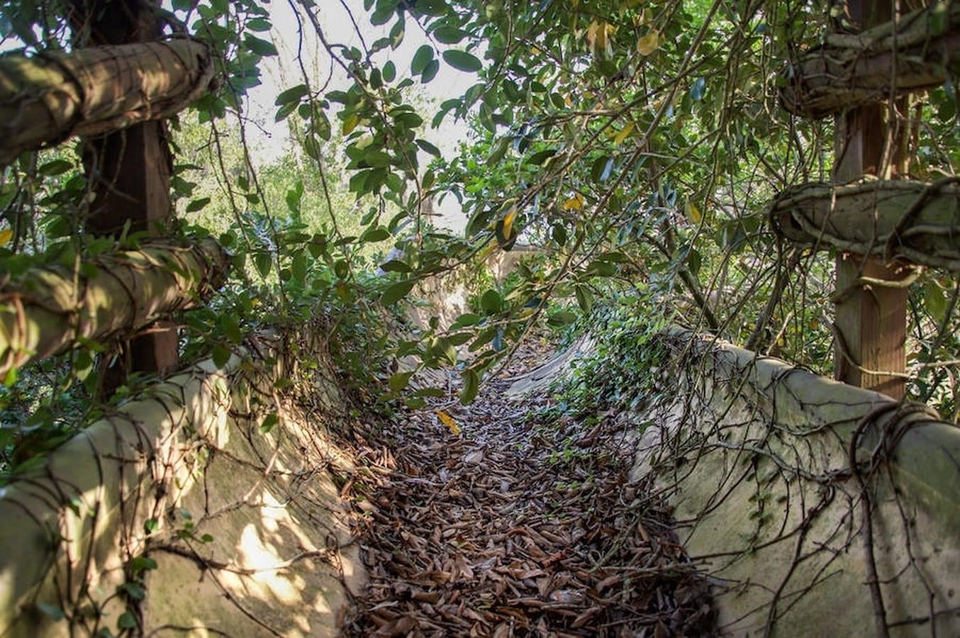 River Country. Interior de uno de los muchos toboganes del parque