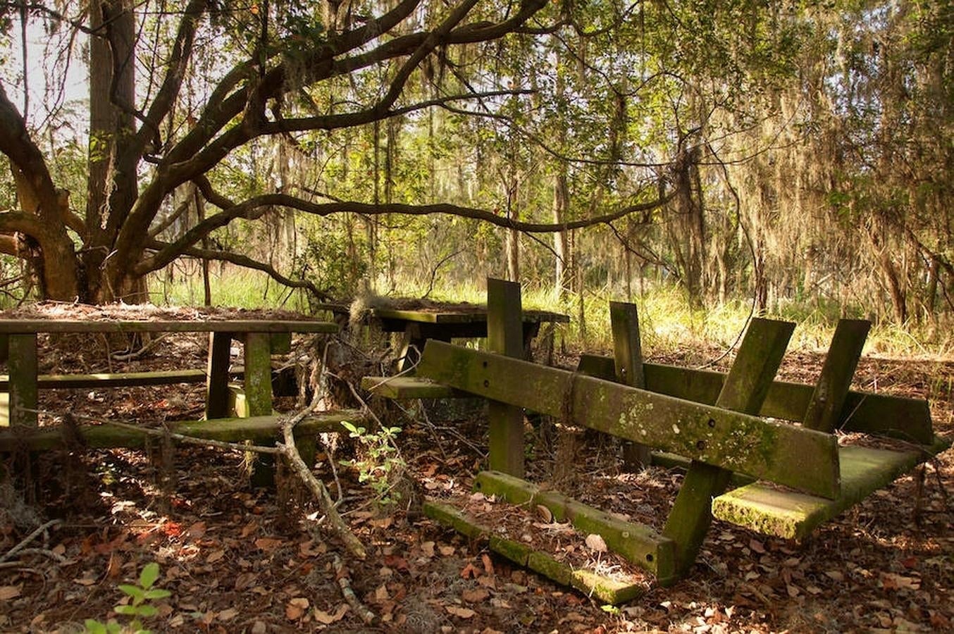 Mobiliario en ruinas. Mesas de madera que eran parte esencial del parque hoy están destartaladas