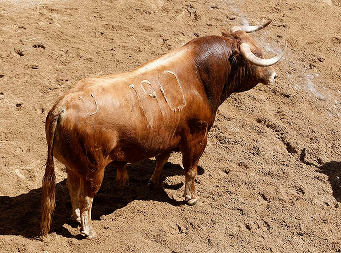 Estos son los juampedros para Ponce, Manzanares y Roca en la Feria de Abril