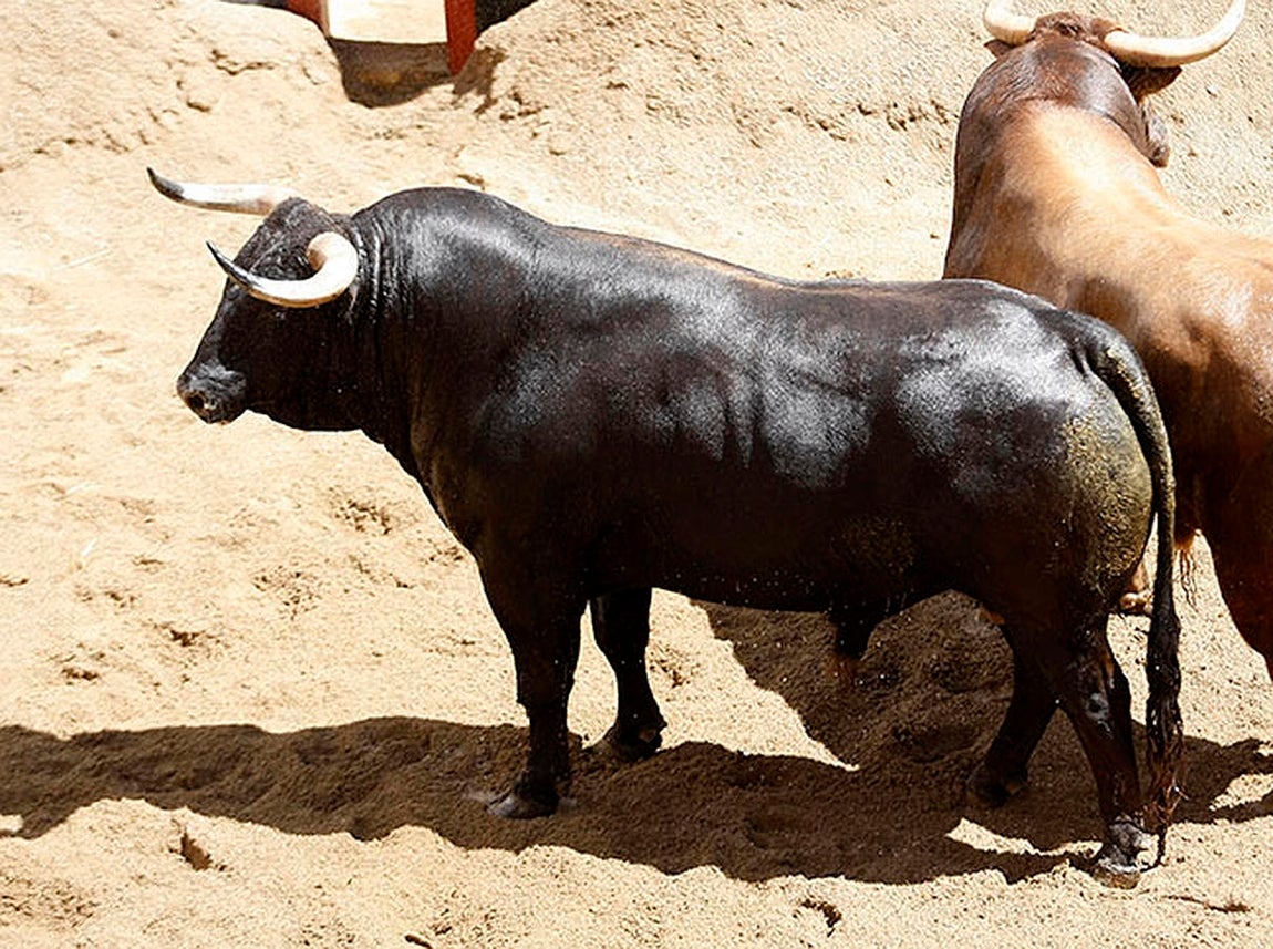 Estos son los juampedros para Ponce, Manzanares y Roca en la Feria de Abril