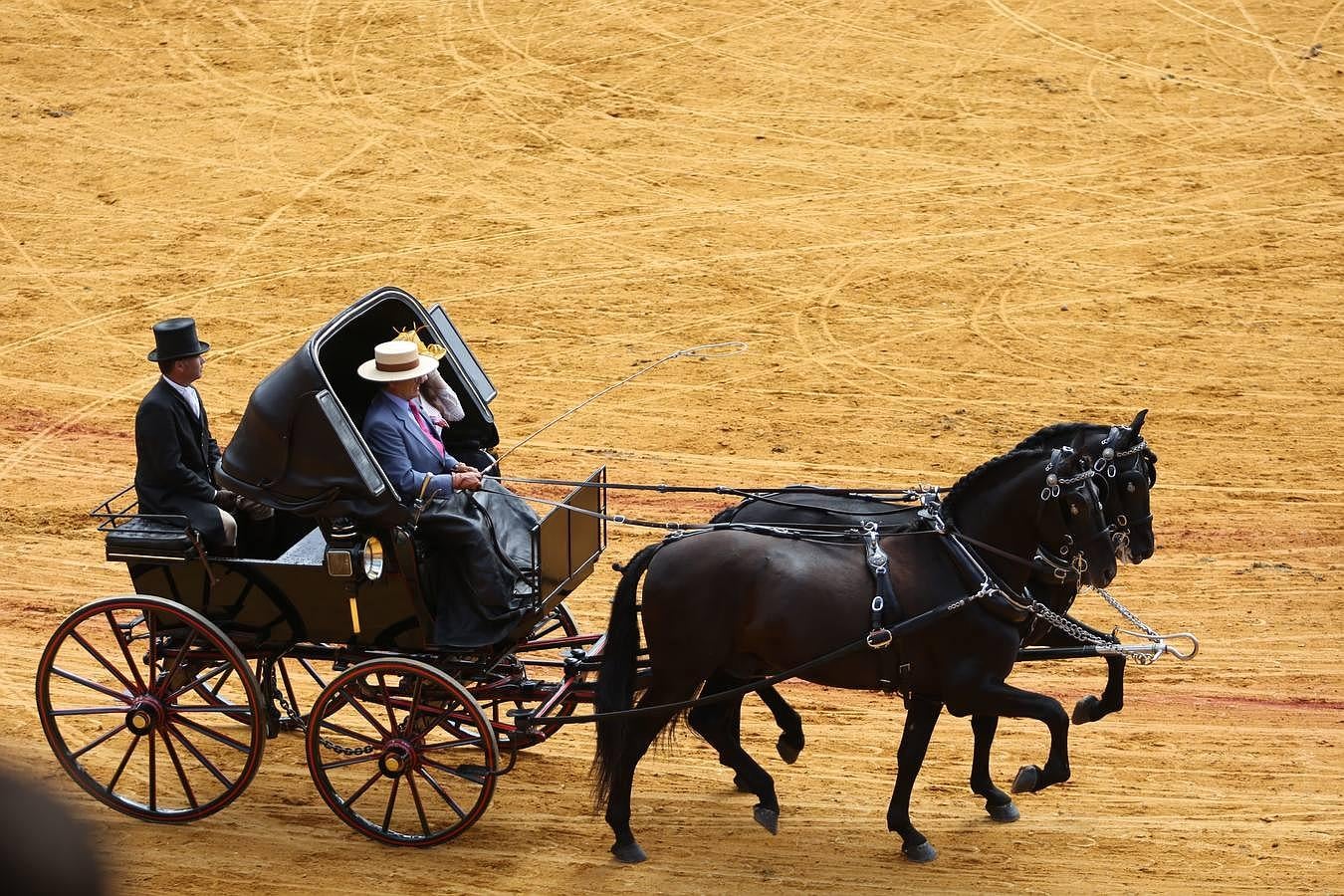 Exhibición de enganches en la Maestranza