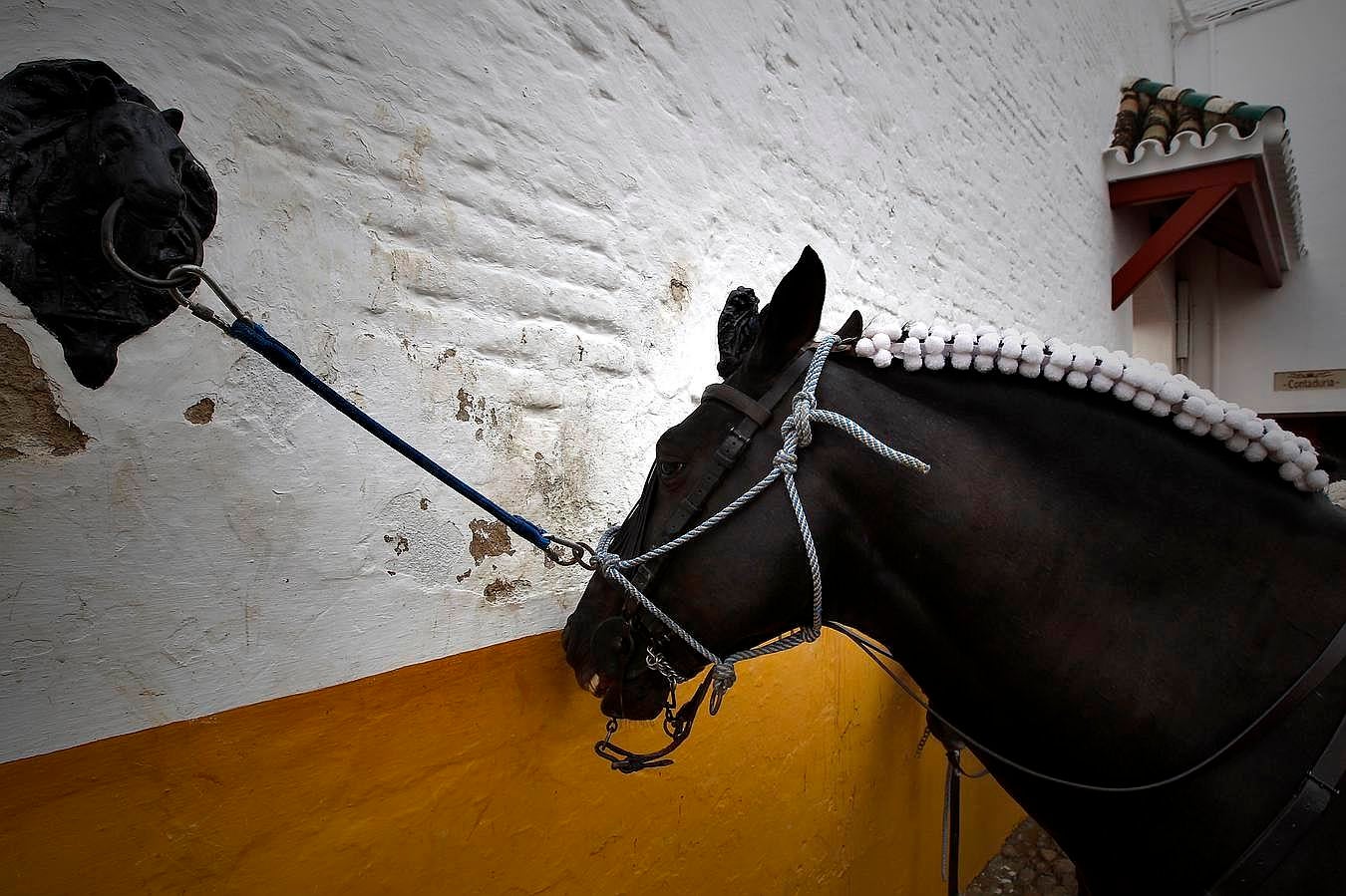 Diego Ventura acaricia la Puerta del Principe en la corrida del domingo