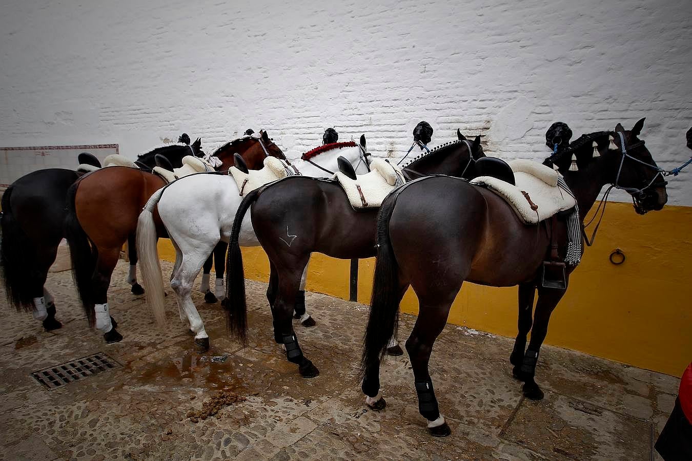 Diego Ventura acaricia la Puerta del Principe en la corrida del domingo