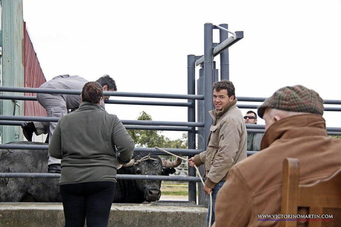 Primeras curas practicadas. 