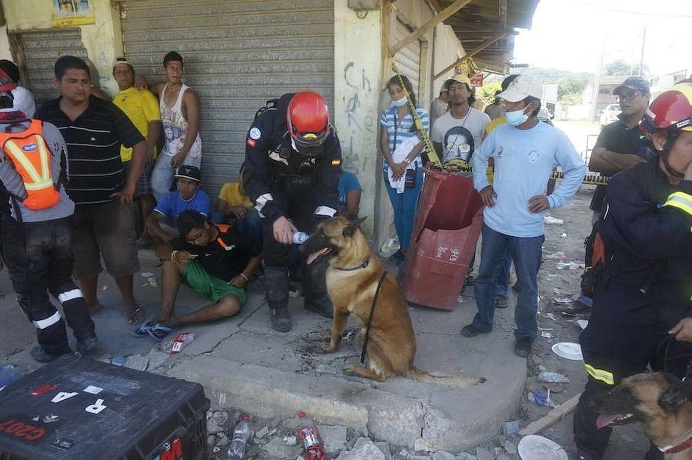 Uno de los rescatistas da de beber a uno de los perros que ayudan a encontrar a supervivientes o a los cuerpos ya sin vida