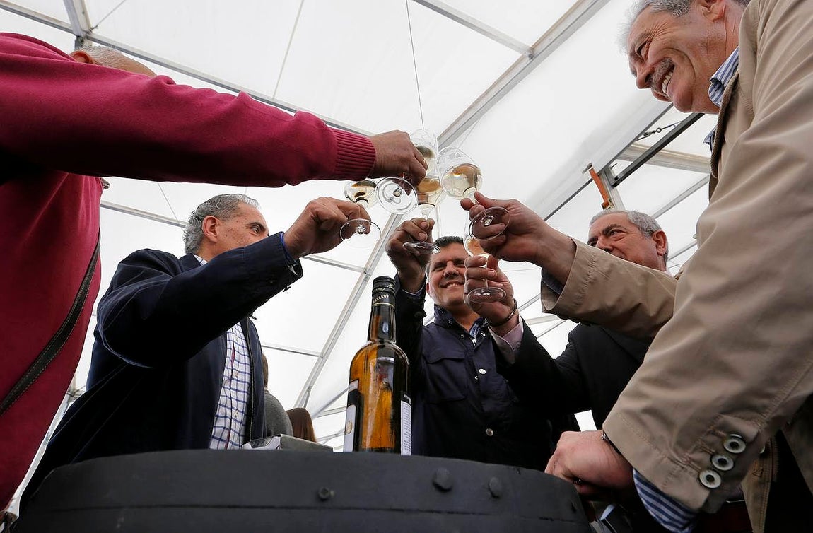 En imágenes, el arranque de la Cata del Vino Montilla-Moriles