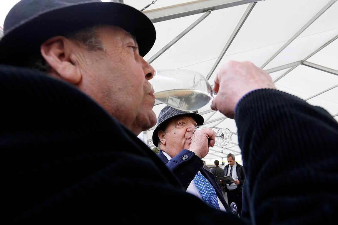 En imágenes, el arranque de la Cata del Vino Montilla-Moriles