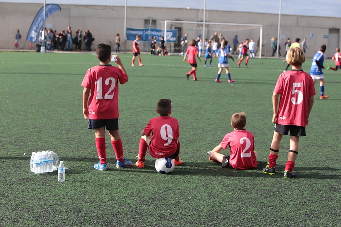 Fotos: Copa Diputación de escuelas de fútbol en El Rosal