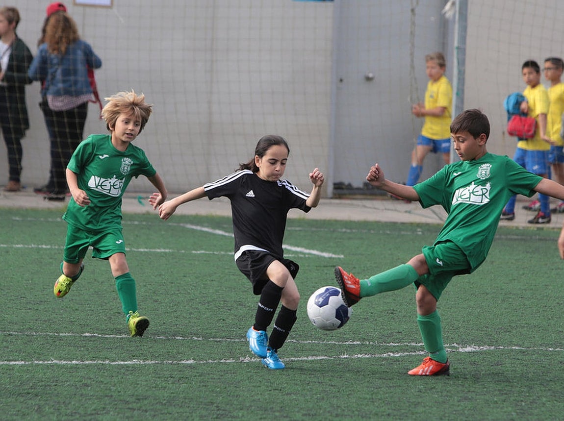 Fotos: Copa Diputación de escuelas de fútbol en El Rosal