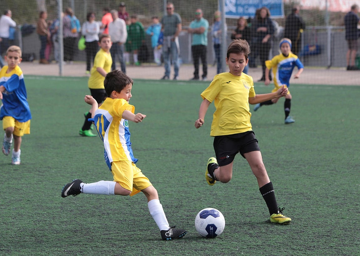 Fotos: Copa Diputación de escuelas de fútbol en El Rosal