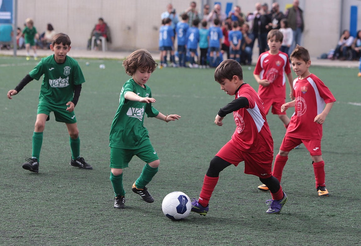 Fotos: Copa Diputación de escuelas de fútbol en El Rosal