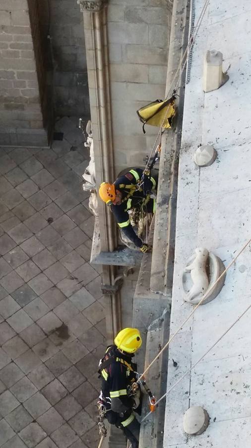 Los bomberos limpian la fachada de la catedral de Toledo