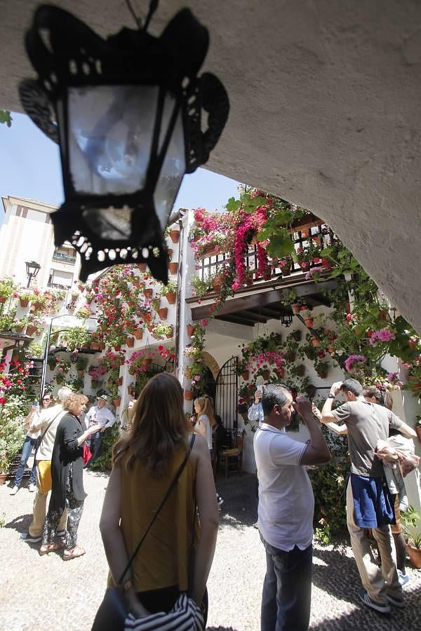 La primera jornada de los Patios, en imágenes