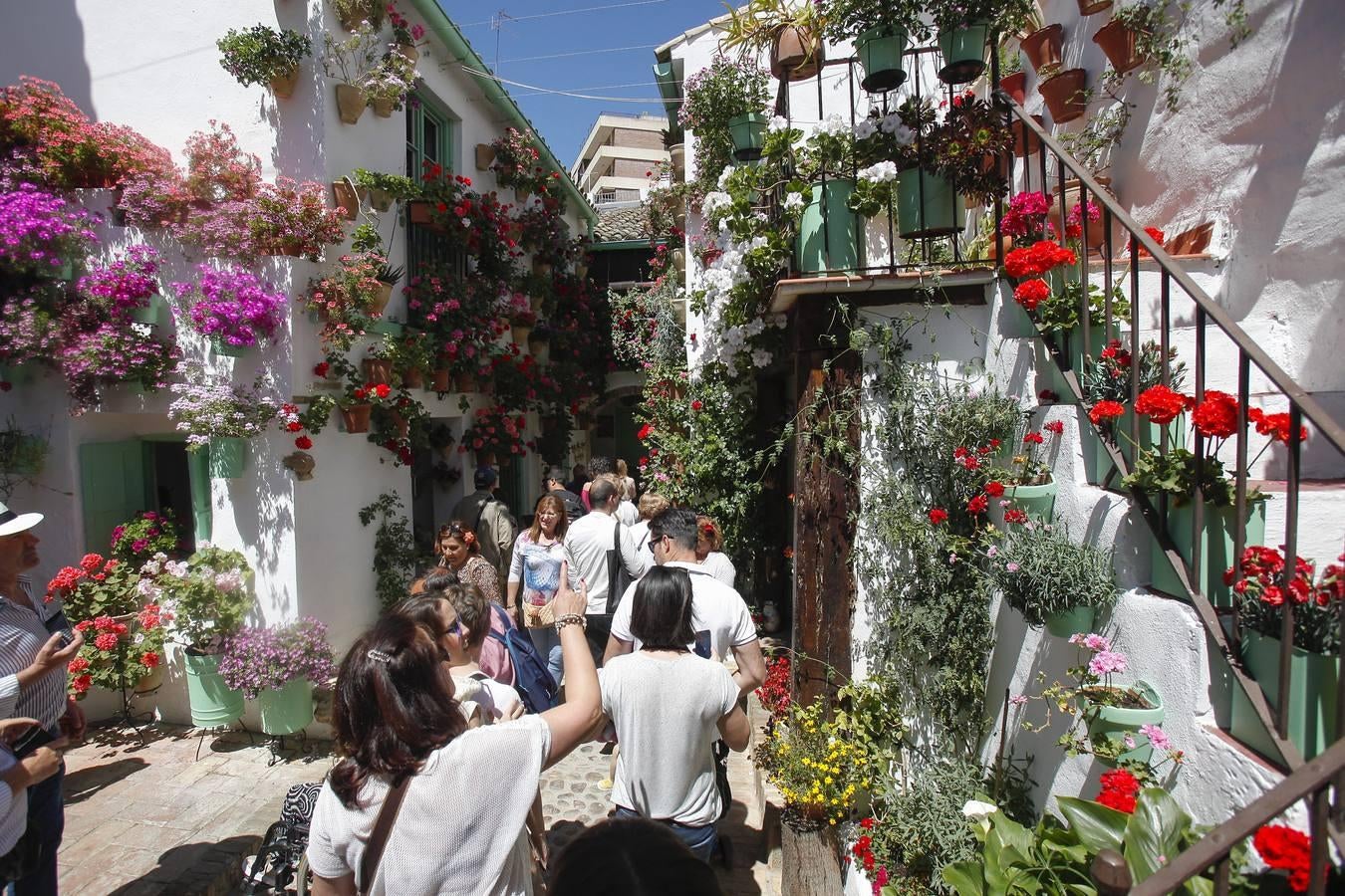 La primera jornada de los Patios, en imágenes