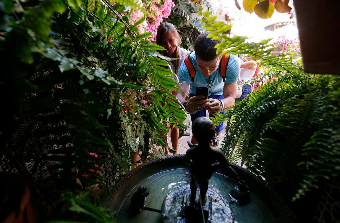 En imágenes, los Patios de Santa Marina y San Agustín en Córdoba