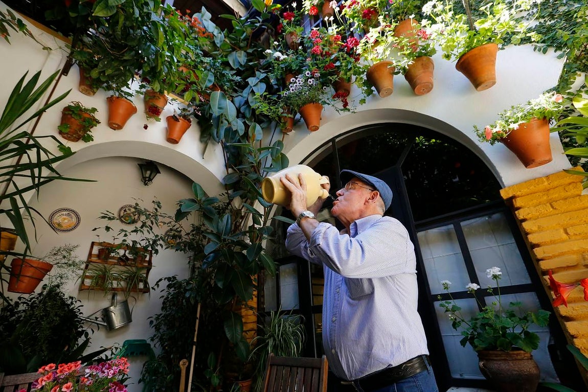 En imágenes, los Patios de Santa Marina y San Agustín en Córdoba