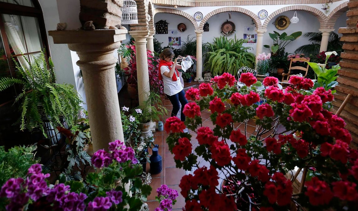 En imágenes, los Patios de Santa Marina y San Agustín en Córdoba