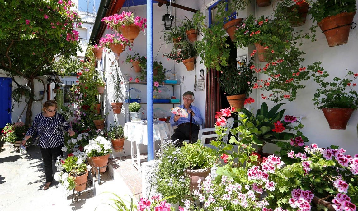 En imágenes, los Patios de Santa Marina y San Agustín en Córdoba