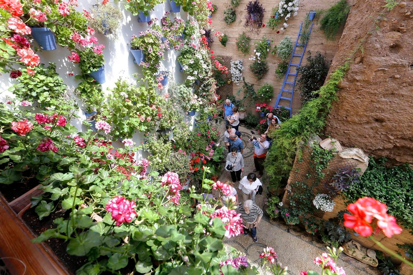 En imágenes, los Patios del Alcázar Viejo