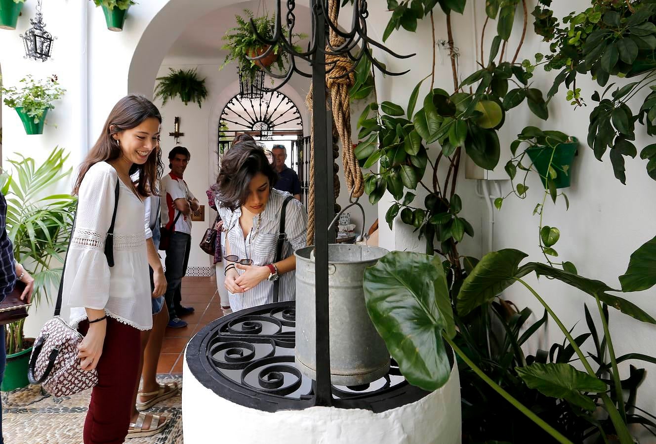 En imágenes, los Patios del Alcázar Viejo