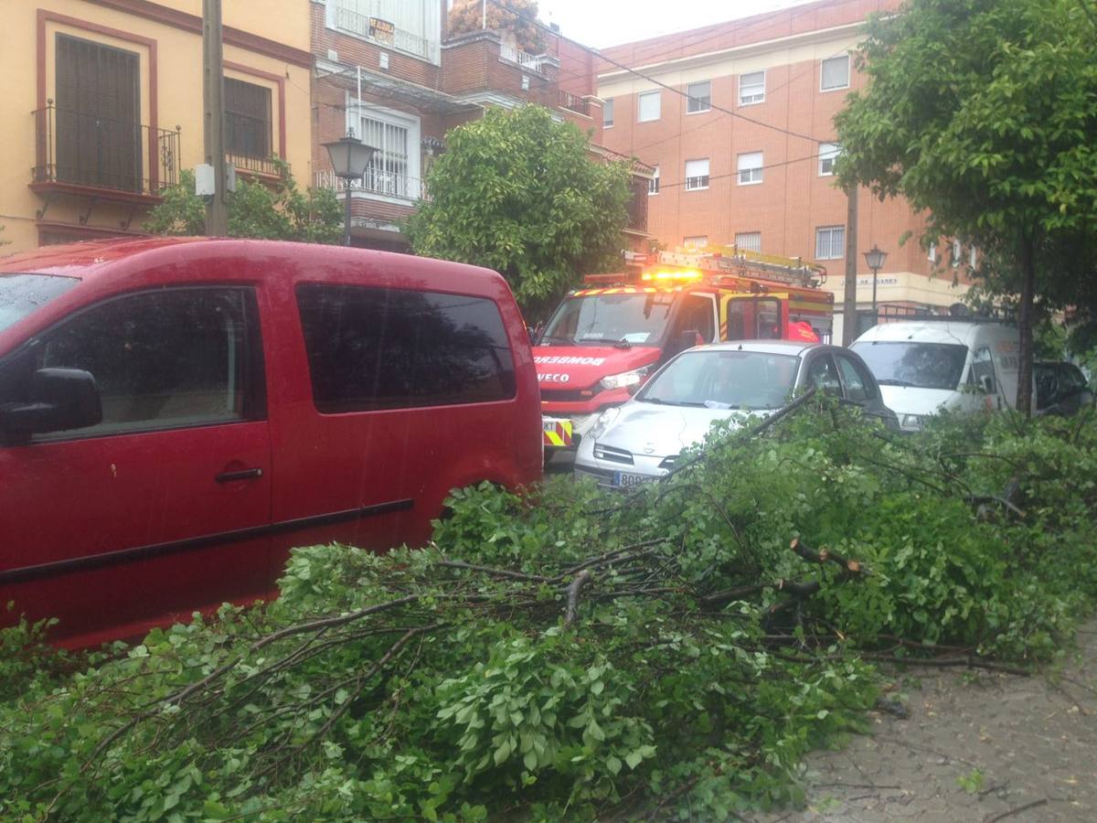 La lluvia provoca decenas de incidencias en Sevilla