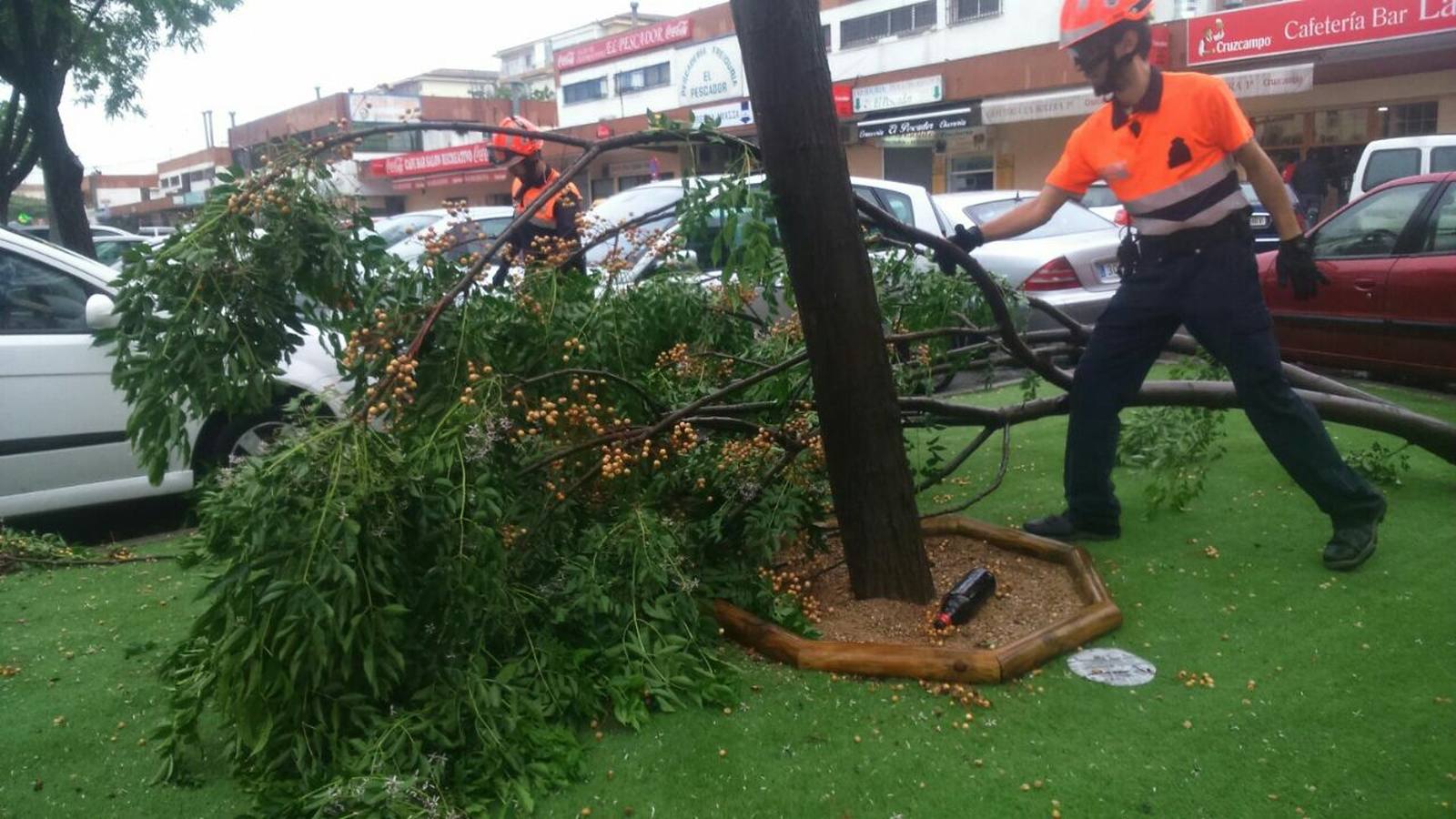 La lluvia provoca decenas de incidencias en Sevilla